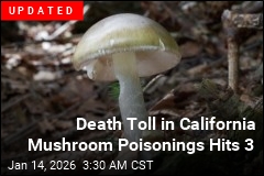 1 Dead, Many Sickened in California Mushroom Poisonings