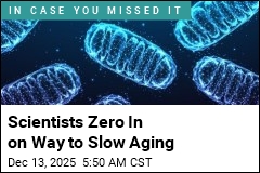Scientists Zero In on Way to Slow Aging