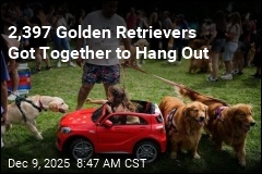 Symphony of Woofs: 2,397 Golden Retrievers Gather in One Park