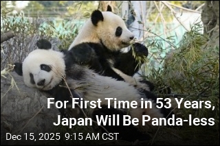 For First Time in 53 Years, Japan Will Be Panda-less