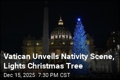 Vatican Unveils Nativity Scene, Lights Christmas Tree