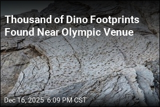 Thousand of Dino Footprints Found Near Olympic Venue