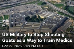 US Military to Stop Shooting Pigs as a Way to Train Medics