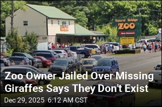 Zoo Owner Jailed Over Missing Giraffes Says They Don't Exist