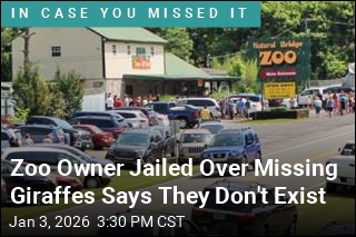 Zoo Owner Jailed Over Missing Giraffes Says They Don't Exist