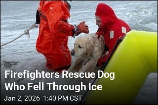 Firefighters Rescue Dog Who Fell Through Ice
