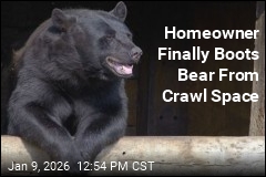Homeowner Finally Boots Bear From Crawl Space