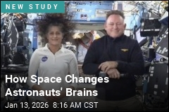 How Space Changes Astronauts' Brains