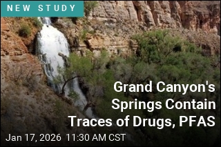 Forever Chemicals Found in Grand Canyon's Springs