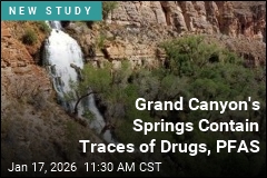 Forever Chemicals Found in Grand Canyon's Springs