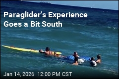 Florida Paraglider Survives 500-Foot Ocean Plunge Unhurt