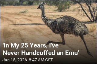 Good News, Florida: The Emu Has Been Captured