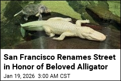 San Francisco Honors Claude, Beloved Albino Alligator