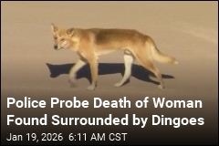 Pack of Dingoes Suspected in Backpacker's Death