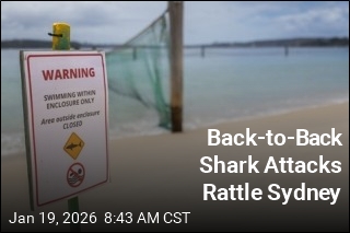 Back-to-Back Shark Attacks Rattle Sydney