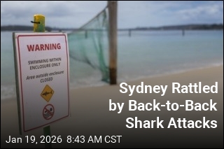 Back-to-Back Shark Attacks Rattle Sydney