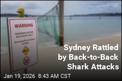 Back-to-Back Shark Attacks Rattle Sydney