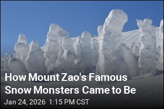 How Mount Zao's Famous Snow Monsters Came to Be