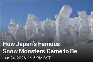 How Mount Zao's Famous Snow Monsters Came to Be