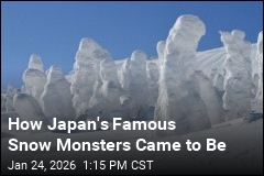 How Mount Zao's Famous Snow Monsters Came to Be
