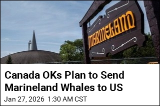 Canada OKs Plan to Send Marineland Whales to US