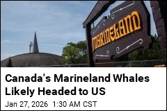 Canada OKs Plan to Send Marineland Whales to US