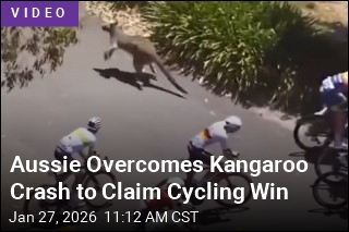 Aussie Overcomes Kangaroo Crash to Claim Cycling Win