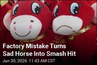 Factory Mistake Turns Sad Horse Into Smash Hit