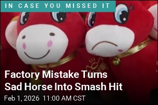Factory Mistake Turns Sad Horse Into Smash Hit