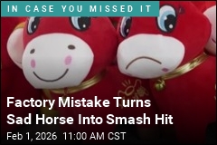 Factory Mistake Turns Sad Horse Into Smash Hit
