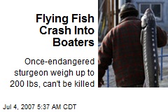 Flying Fish Crash Into Boaters