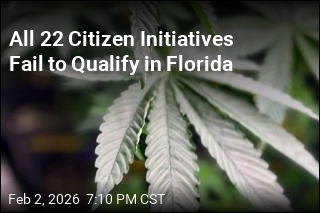 Recreational Pot Fails to Qualify for Florida Ballot