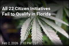 Recreational Pot Fails to Qualify for Florida Ballot