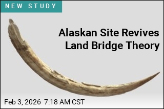 Alaskan Site Revives Land Bridge Theory