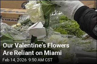 Our Valentine's Flowers Are Reliant on Miami