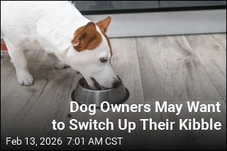 Dog Food Contains 'Alarming' Levels of Heavy Metals: Report