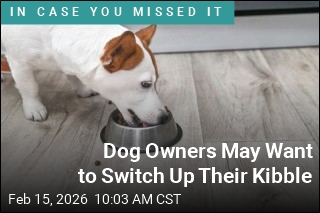 Dog Food Contains 'Alarming' Levels of Heavy Metals: Report