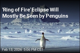 'Ring of Fire' Eclipse Will Mostly Be Seen by Penguins
