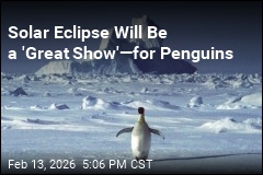 'Ring of Fire' Eclipse Will Mostly Be Seen by Penguins