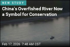 China's Overfished River Now a Symbol for Conservation