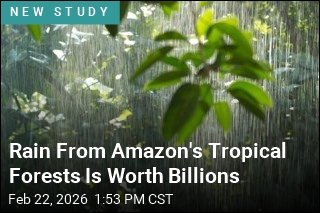 Rain From Amazon's Tropical Forests Is Worth Billions
