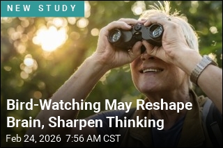 Bird-Watching May Reshape Brain, Sharpen Thinking