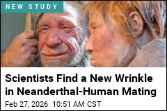 Scientists Find a New Wrinkle in Neanderthal-Human Mating