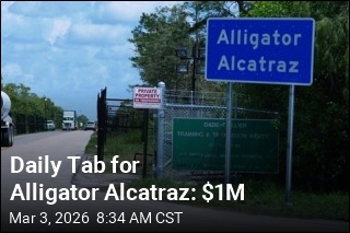 Daily Tab for Alligator Alcatraz: $1M