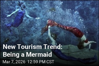 New Tourism Trend: Being a Mermaid