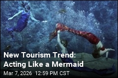 New Tourism Trend: Being a Mermaid
