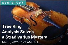 Stradivarius 'Golden Age' Wood Finally Traced