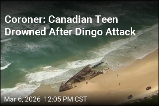 Coroner: Canadian Backpacker Drowned After Dingo Attack