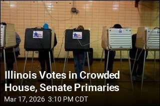 Illinois Votes in Crowded House, Senate Primaries