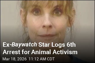 Ex- Baywatch Star Logs 6th Arrest for Animal Activism